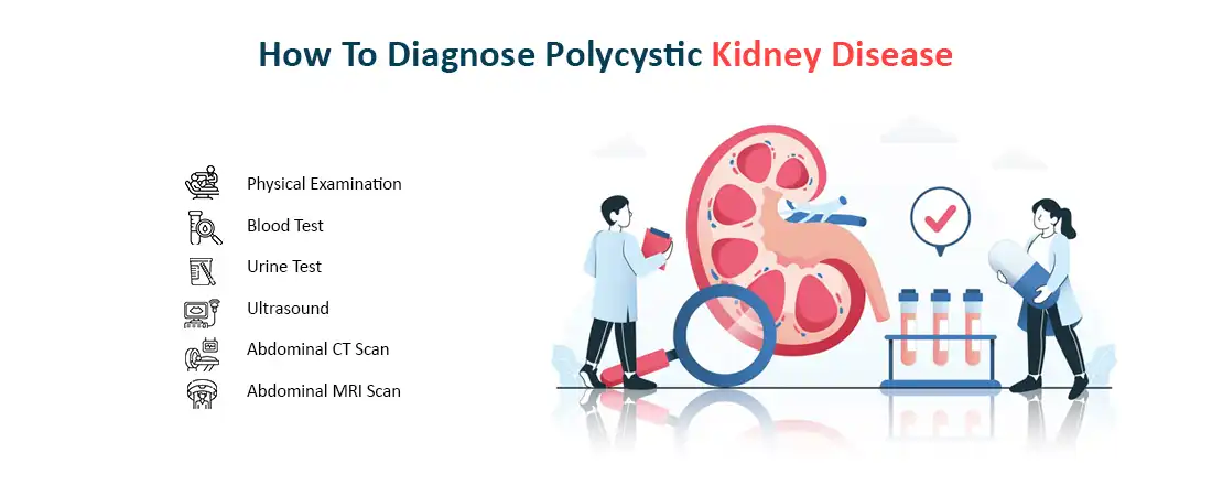 How to Diagnose Polycystic Kidney Disease